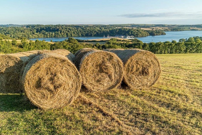 Hay making at Blackers field